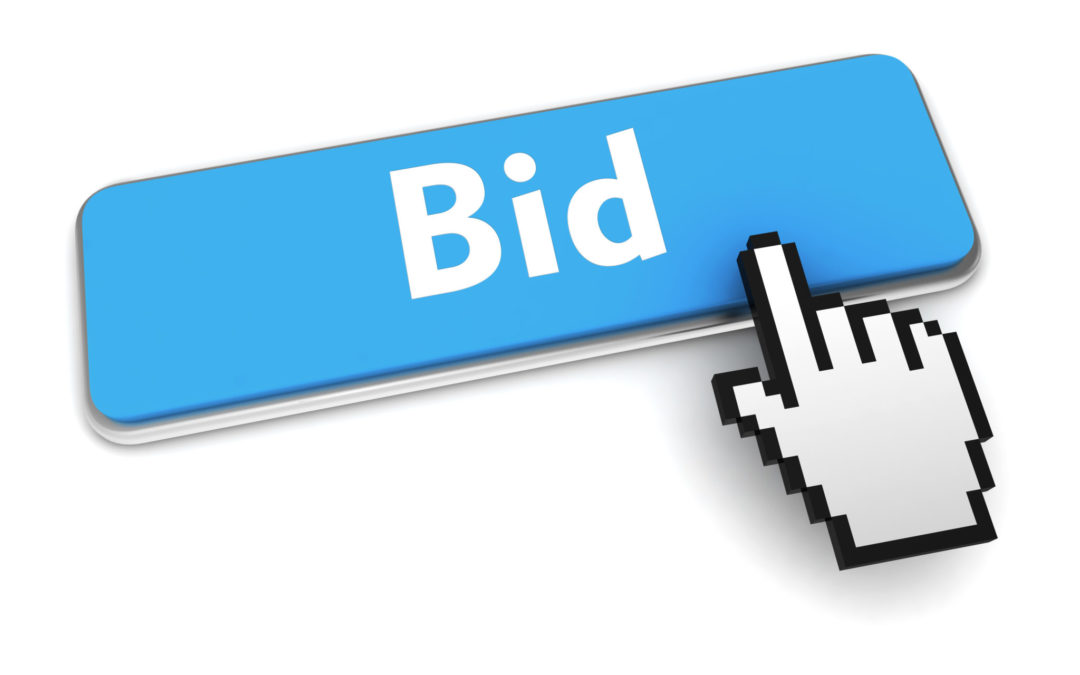How to Bid in our Online Auction