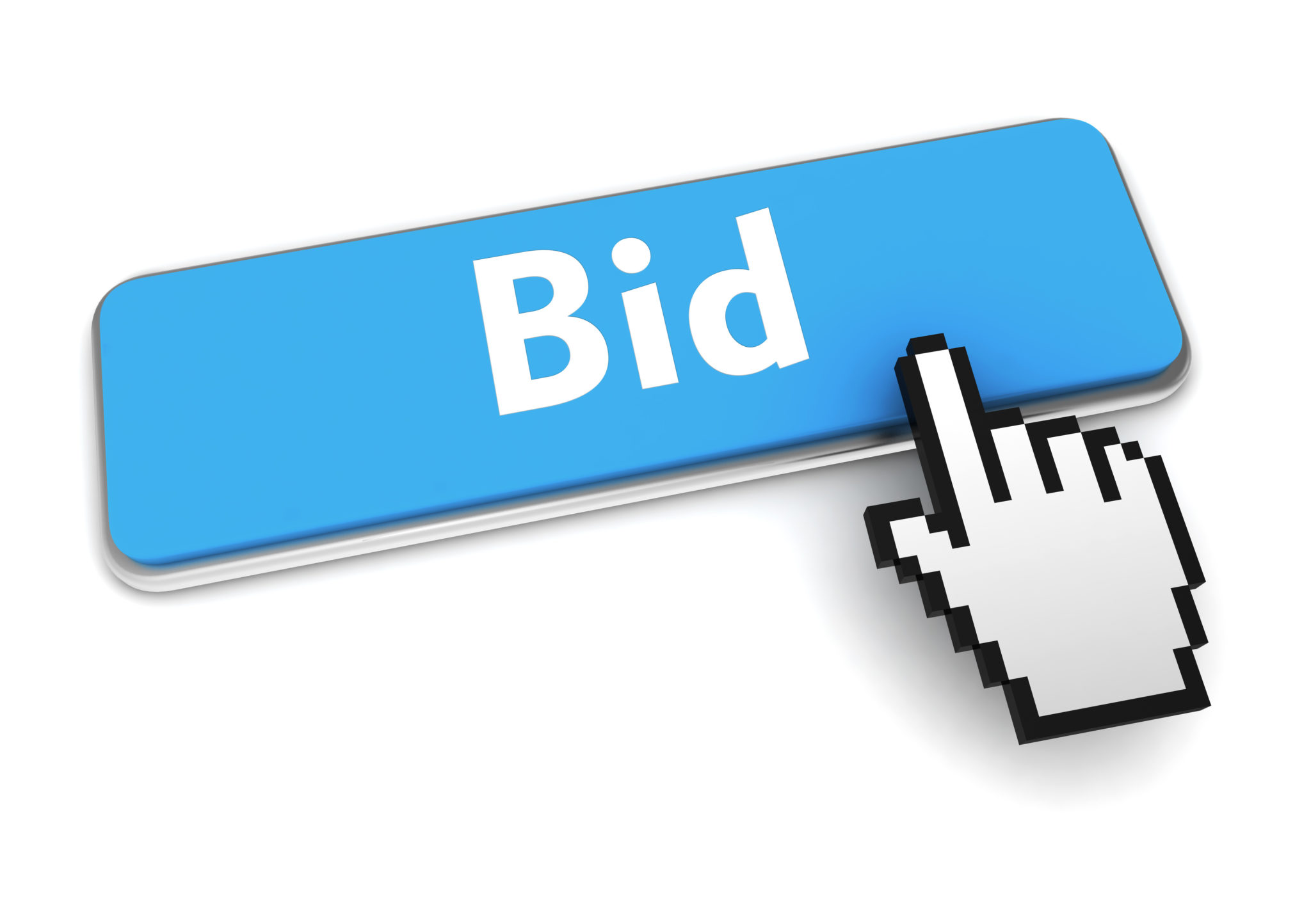 How to Bid in YPLA's Online Auction