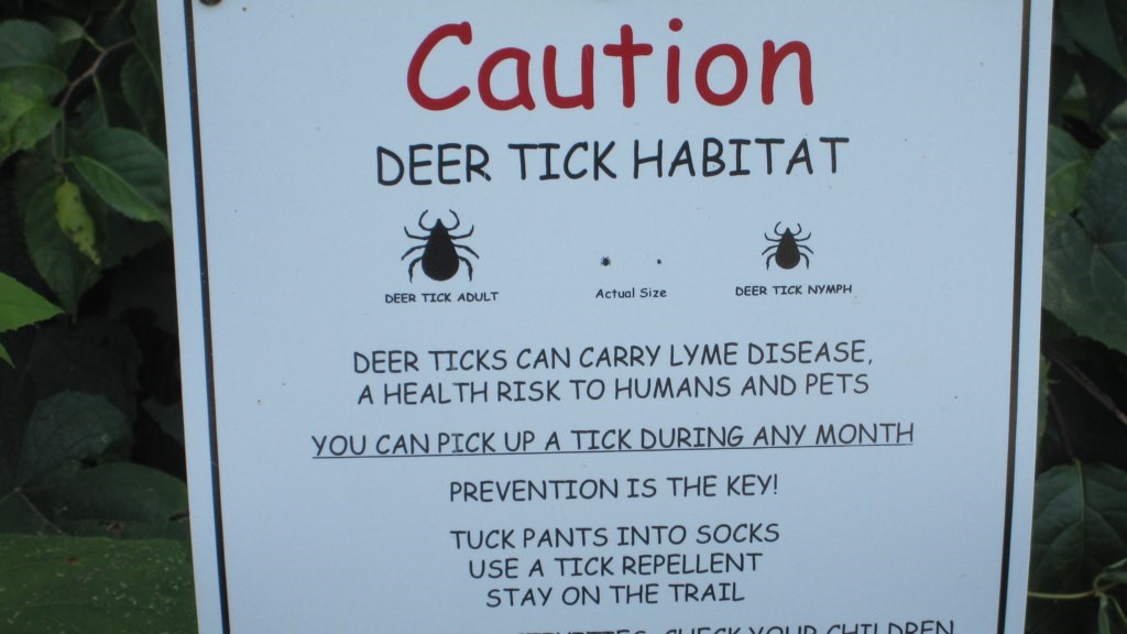Tick Habitat