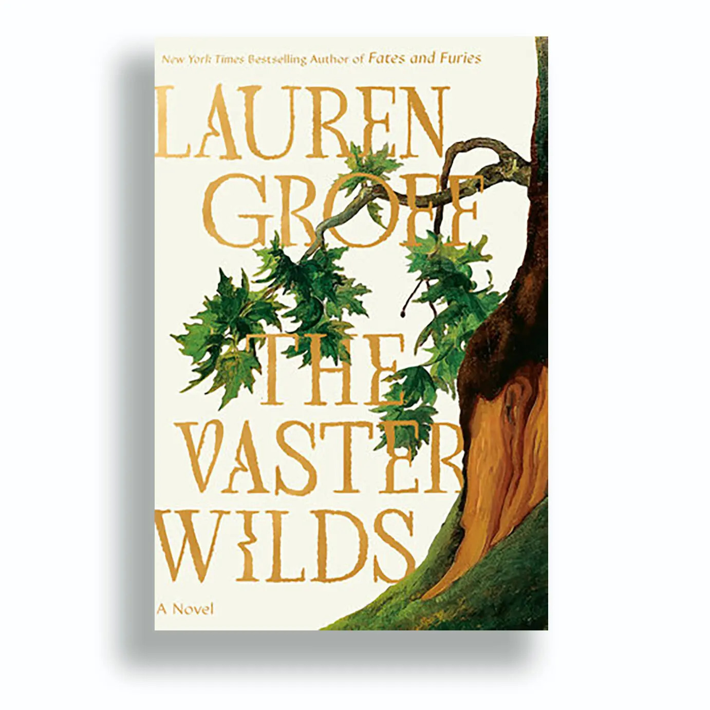 Vaster Wilds Vaster Wilds Book Cover