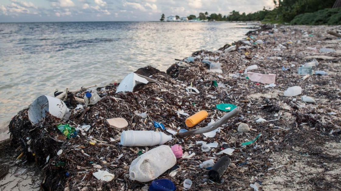 ocean trash_0 (1) Ocean Trash