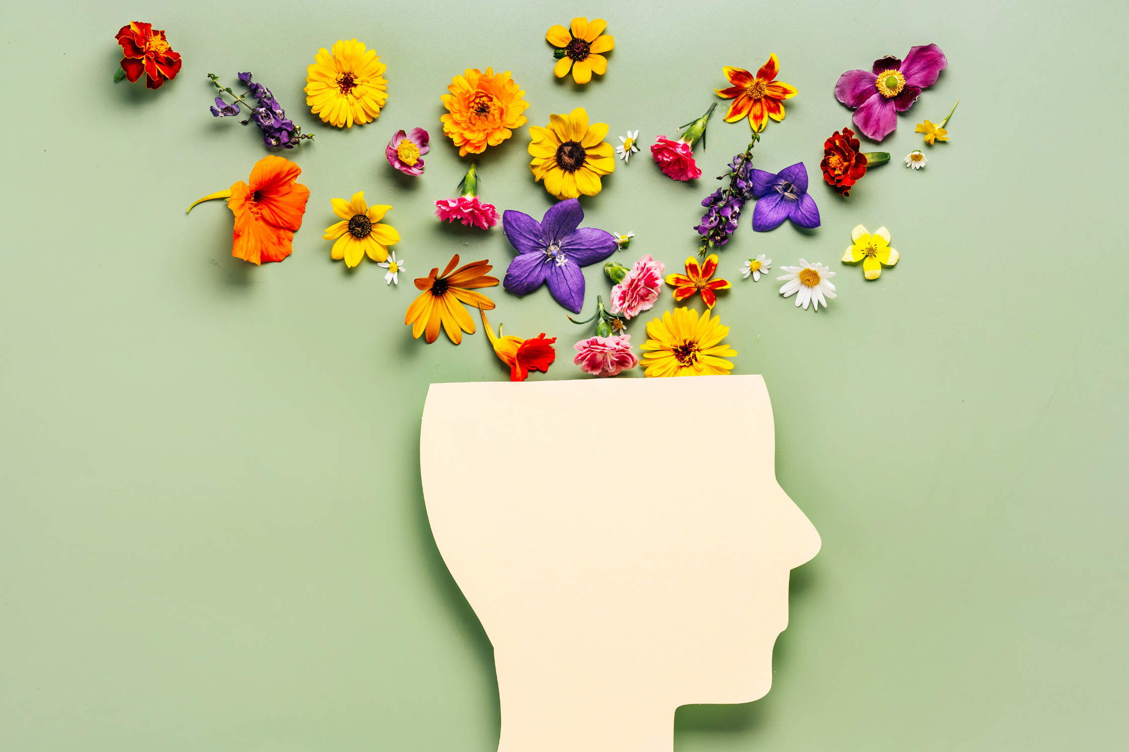 Flowers emerging from a paper human's head